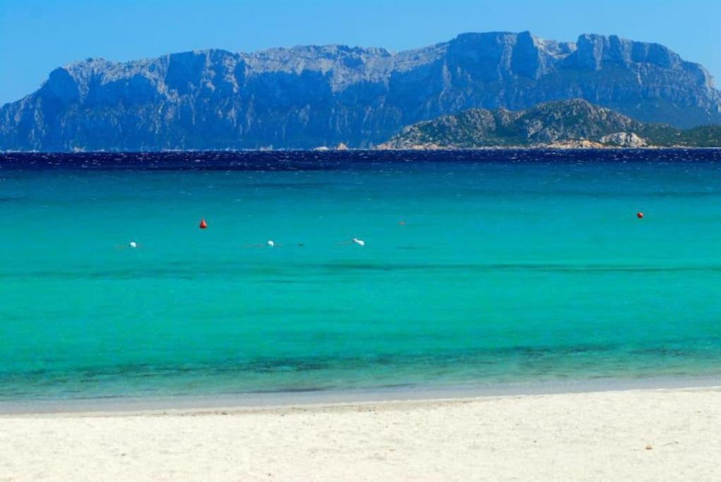 Sardegna Casa A 250 Metri Dal Mare Con Piscina Lejlighed Olbia Eksteriør billede